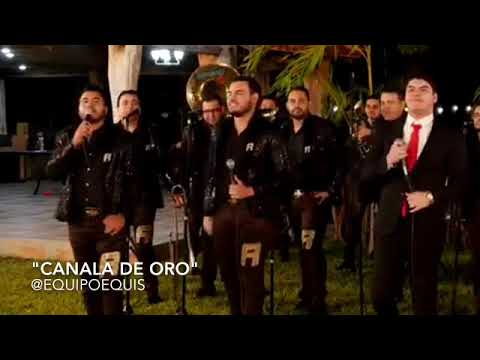 Alex Quintero Ft Banda Renovacion - Canala De Oro [En Vivo 2017]