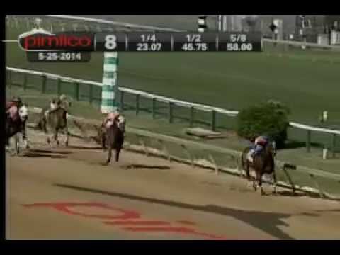 Pimlico 05/25/14 race 8