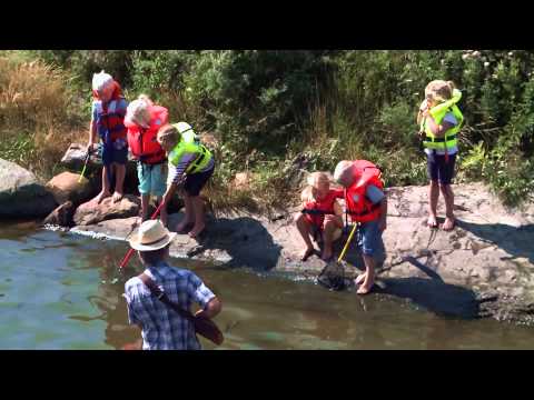 download lagu mp3 mp4 Ragnar Sør Olsen, download lagu Ragnar Sør Olsen gratis, unduh video klip Ragnar Sør Olsen