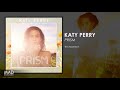 Katy Perry - This Moment