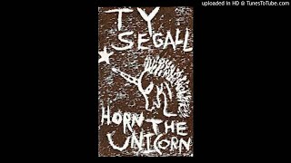 Ty Segall- Shoot Me In The Head