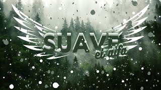 Download lagu EL ALFA = SUAVE // SLOWED // REVERB // BASSBOOSTED! mp3
