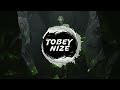 James Blunt Beside You TOBEY NIZE X KARA MØ REMIX
