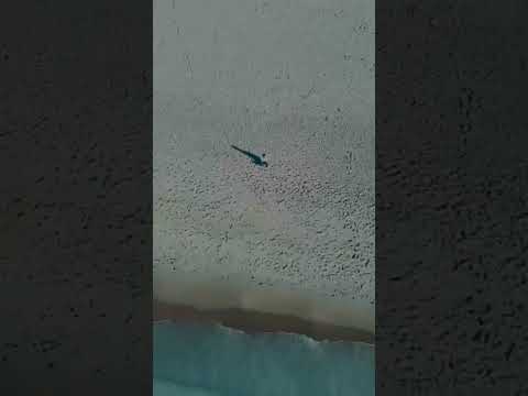 Lovely Grand Bend #nature #canada #beauty #beachlife #shorts #summer #life #trending #drone #ontario