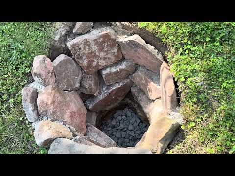 Wie pflanzt man eine Trachycarpus Princeps