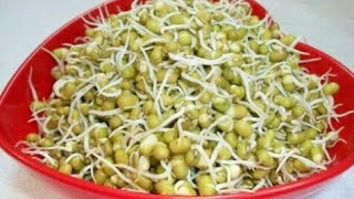 How to make sprouts (Mung bean) ?  / Multi-grain sprouts / Mulai kattiya pasi payaru