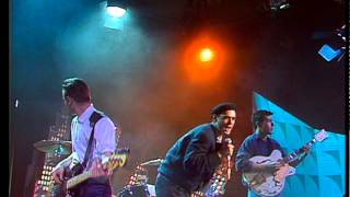 TOPPOP: Curiosity Killed The Cat - Ordinary Day