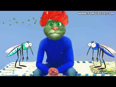 Mara Raska Kamar Tu Na Pahaly Nazar Full Song Talking Tom Mp4 3GP Video & Mp3 Download unlimited Videos Download Mara Raska Kamar Tu Na Pahaly Nazar Full Song Talking Tom Mp4 3GP Video & Mp3 Download unlimited Videos Download