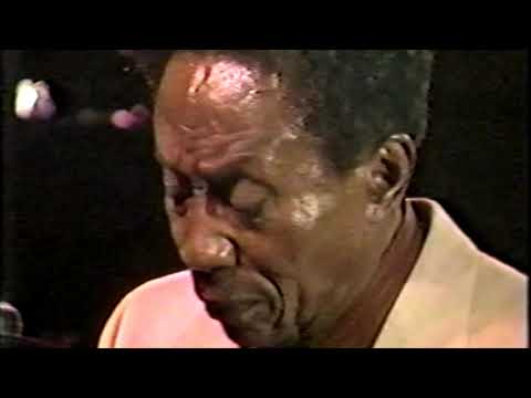 1986 St. Louis Blues Festival - James Crutchfield