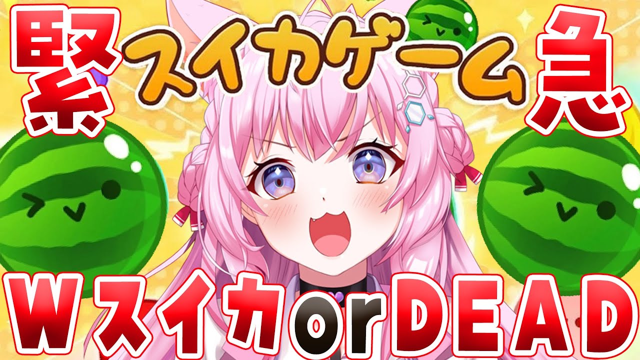 【緊急】【スイカゲーム】3500点↑＆Wスイカいけるかもしれないいいいいいいいい🍉🔥【博衣こより/ホロライブ】