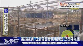 薔琵重創海葡萄養殖場!北上逼近九州