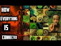 How Everything Is Connected In The Universe