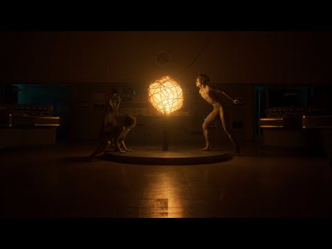 PARADISE LTD, Wild Culture - Body Talk (Official Music Video)