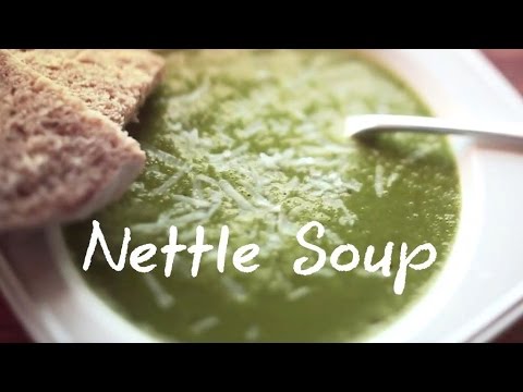 Nettle soup - Green Renaissance