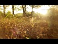 Beautiful Slow Instrumental -- music for studying ...