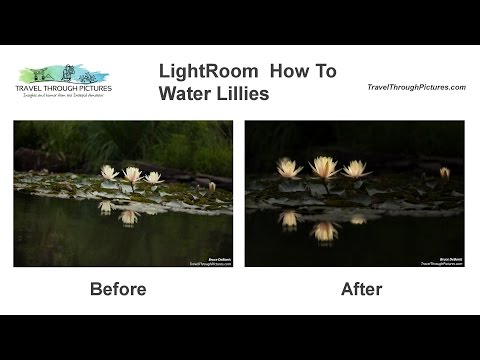 LightRoom HowTo Water Lillies