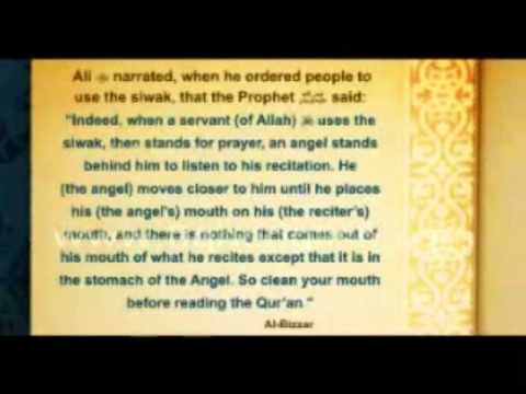 download lagu mp3 mp4 Sunan Al Fitrah, download mp3 Sunan Al Fitrah free download mp3, download mp3 Sunan Al Fitrah