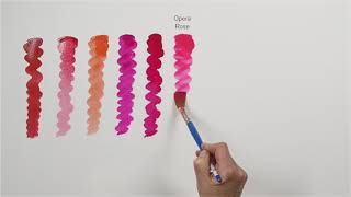 What different pinks do Winsor and Newton offer? | Winsor & Newton Masterclass