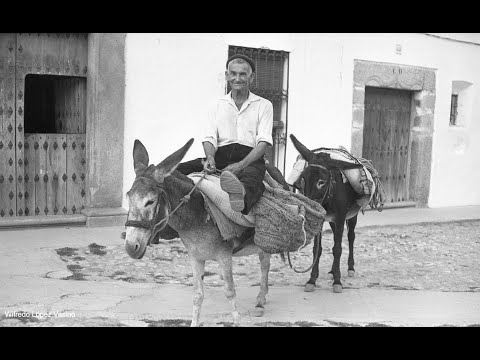 Video de fotos de finales de 1970