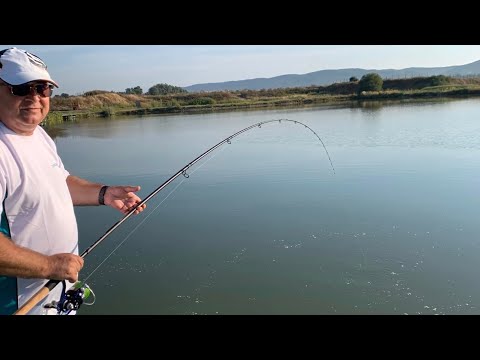 Purcareni Lake 16.08