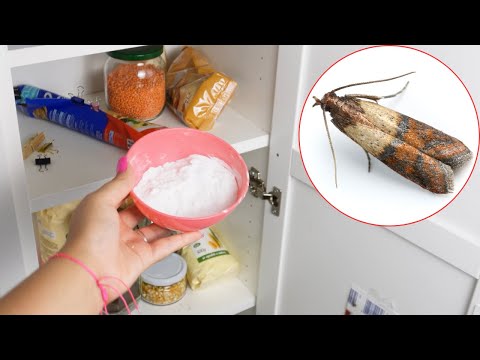 I put it in the cupboard and all the pantry moths disappeared.