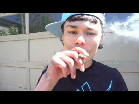 Yakki Chan Competition [Maniac Latin Disciple Nation] I (MLDz) I (Music Video)