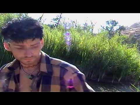 Video thumbnail for That’s how hollywood goes