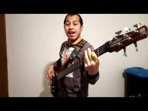 KATY PERRY MEETS VULFPECK // Disco Ulysses' Tennage Dream (Mashup-Bass cover)