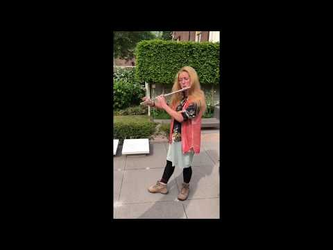 Analyse van de fluit