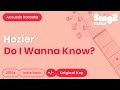 Hozier Do I Wanna Know Acoustic Karaoke