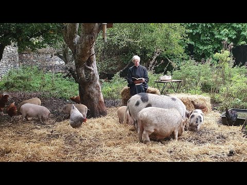 Morning Prayer – Saturday, 17th October 2020