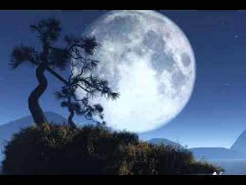 Sohani chandni ratain song by danish