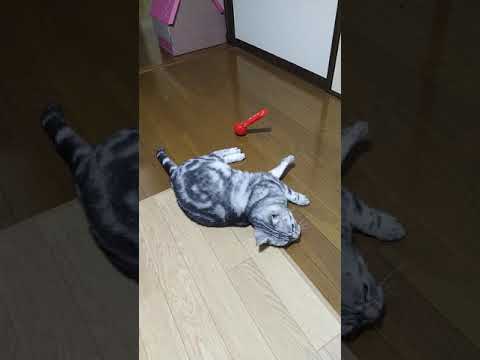 download lagu mp3 mp4 ぬお, download lagu ぬお gratis, unduh video klip ぬお