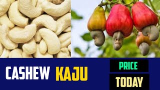 Kaju Price Today Cashew Nuts