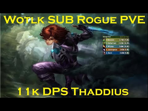 11k DPS SUB Rogue - Thaddius 100 Parse!