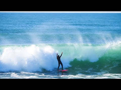 Teresa Bonvalot França 2020