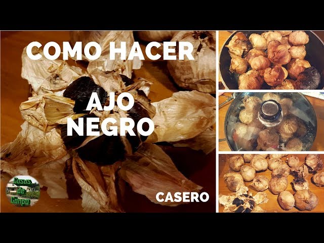 Vídeo relacionado con Miel con Ajo Negro - 100% Natural Pura de Abeja, Cruda, 300gr - Origen: El Bierzo, España