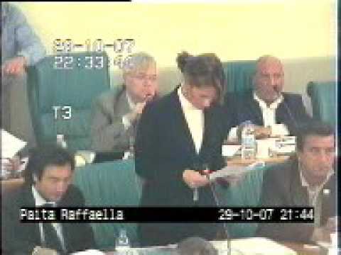 Consiglio Comunale del 29 10 2007