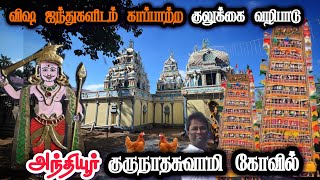 Temple video