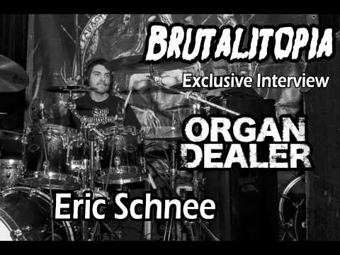 Brualitopia Exclusive - Eric Schnee (Organ Dealer)