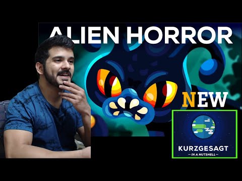 Why We Should NOT Look For Aliens - The Dark Forest (Kurzgesagt) CG Reaction