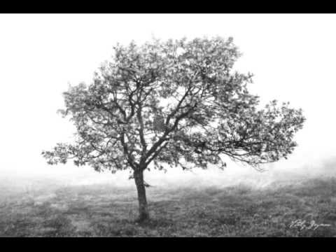Kvety Nikotínu - Strom