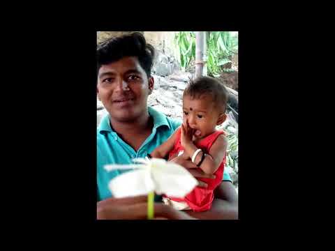 mira maitri birthday song