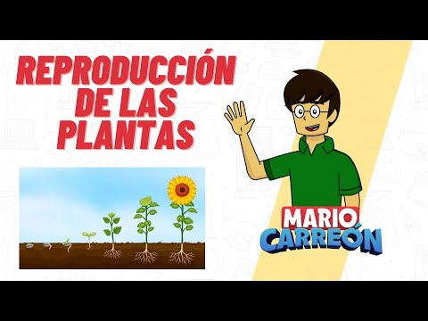 Reproducción de las Plantas