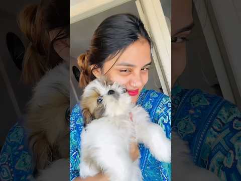 🐾💕ഒന്നും നോക്കുന്നില്ല സ്നേഹിച്ച് അങ്ങ് കൊല്ലുവാ..‼️!#shorts #pets #rio