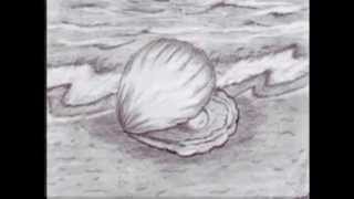 Hannah Fox Larkin - Letters - Drawings by NynnaVizireanu