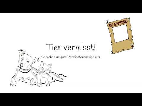Ausschnitt: Tierbeschreibung in einer Vermisstenanzeige (Tutorial)
