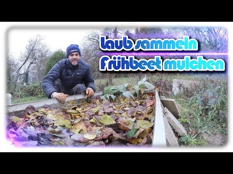 download lagu mp3 mp4 Artischoke, download lagu Artischoke gratis, unduh video klip Artischoke