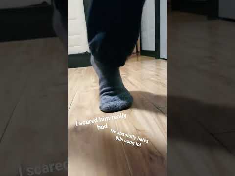 my little cousin peeing his pants on video(NOT CLICKBIAT)