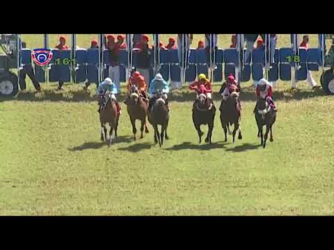 RM16 R1 - Blue Jeans(M.R.Hoolash)